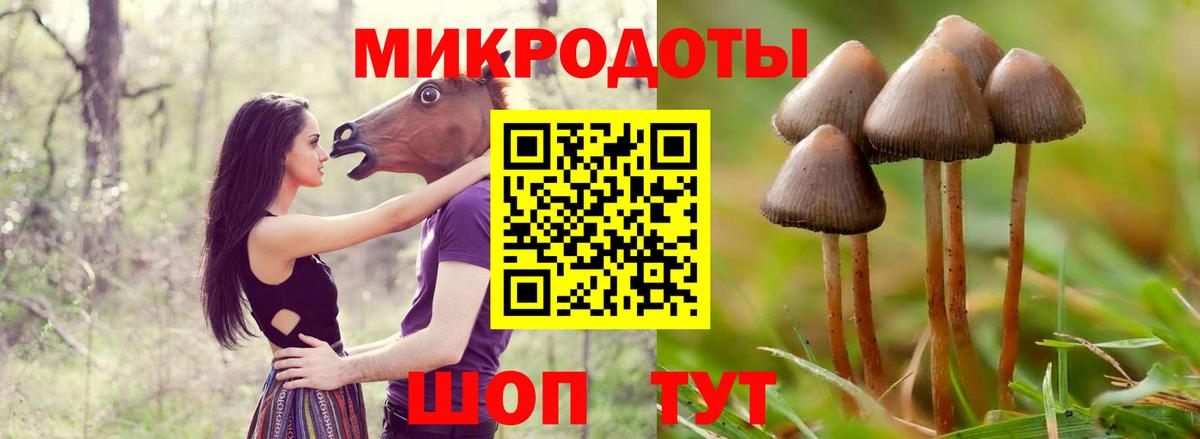 Можайск  Галлюциногенные грибы мухоморы  Вход с VPN 